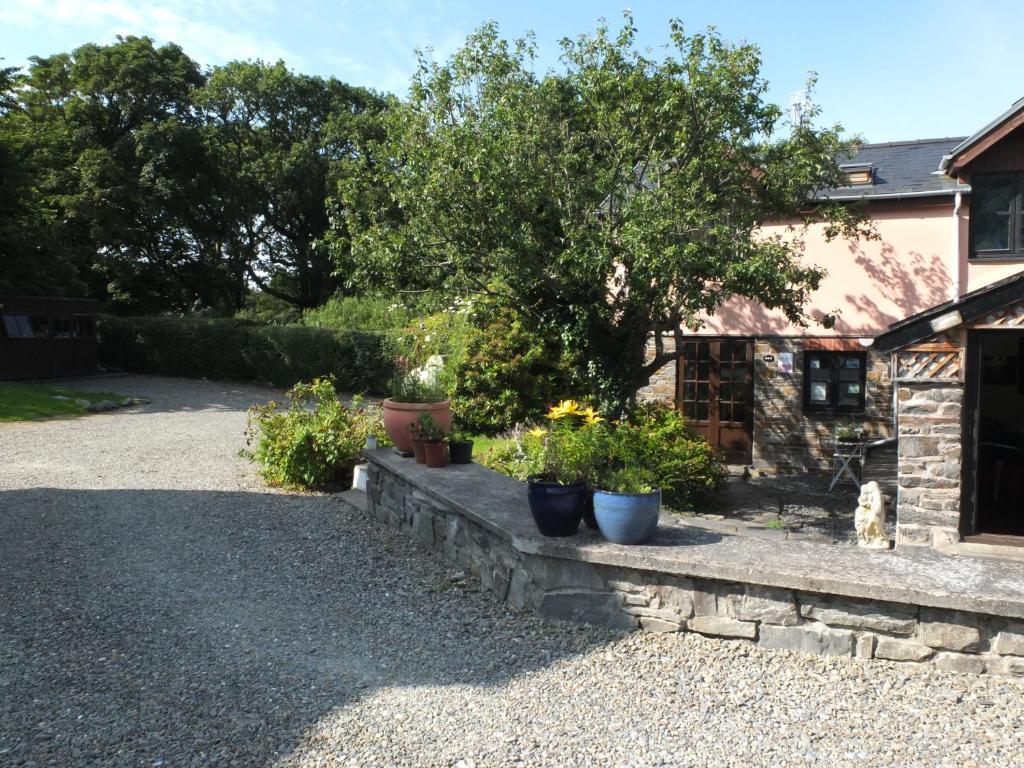 Penybont Bed & Breakfast Aberystwyth Bagian luar foto
